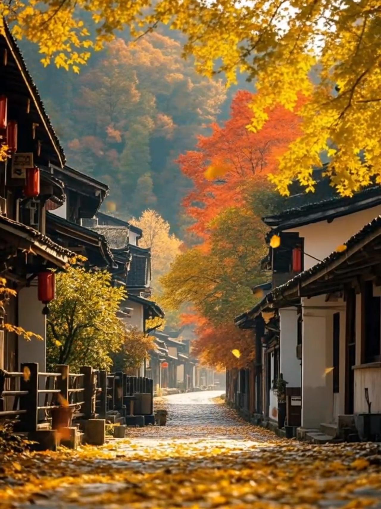 今天就是8月7号立秋了，奉劝各位一句：中午到下午六点之前，能不出门就别出门。千万
