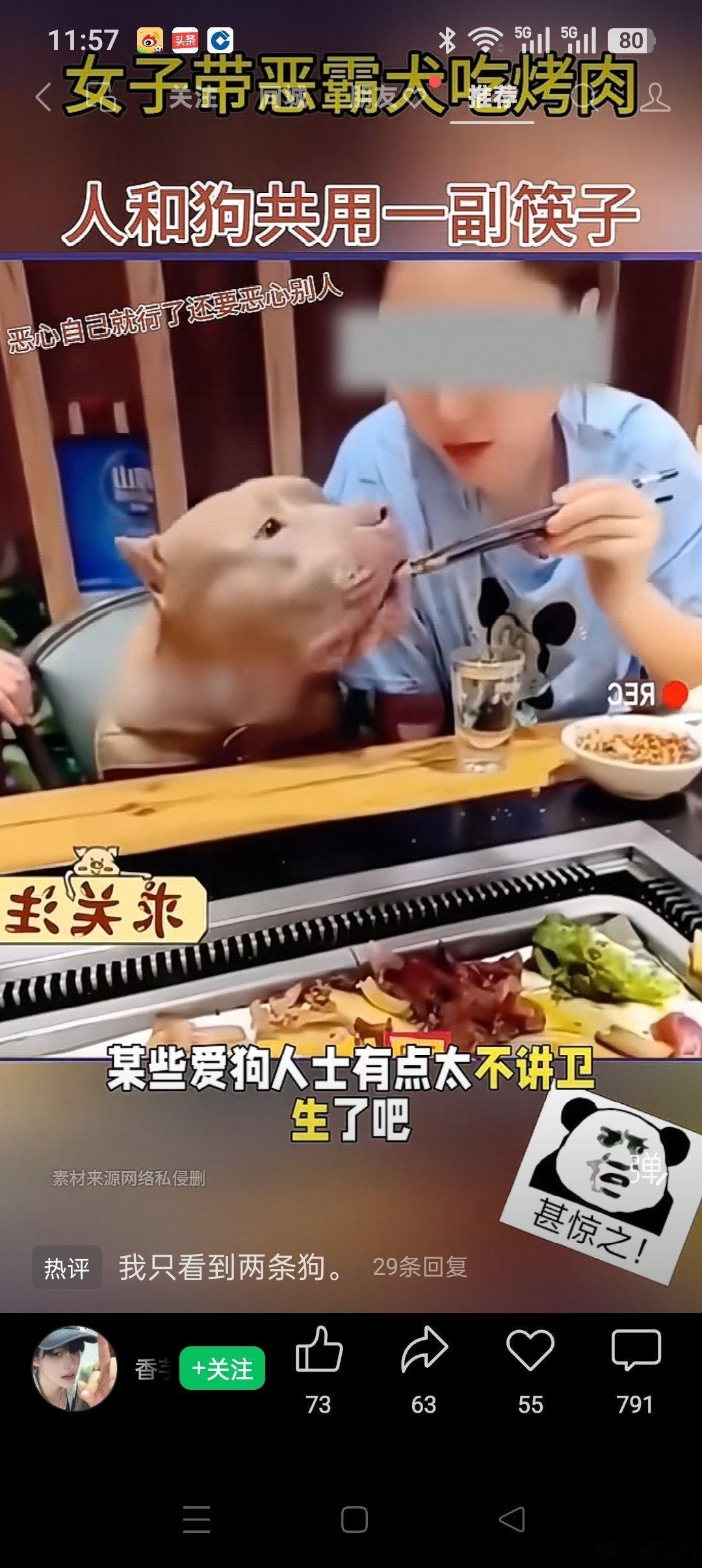 人狗共餐一副筷，先夹狗吃一口菜。再夹一口入嘴中，咀嚼狗味乐开怀。 