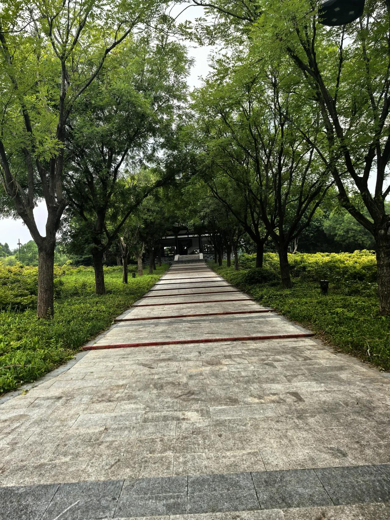 指数出现构筑底部结构的特征，反弹走出新的节奏。
从周一的触底以来，大盘开始筑底和