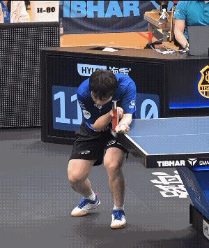 业余球友也可以像樊振东这样干！应该有很多球迷注意到了，在12月的德甲及欧冠比赛中