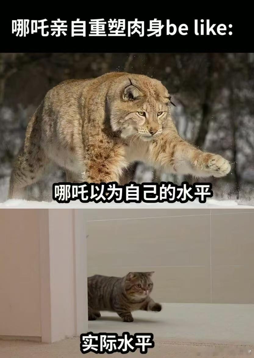 春节档唯一喜剧是哪吒2  哪吒2笑点还挺密集的，春节档当然很适合看这种轻松搞笑的