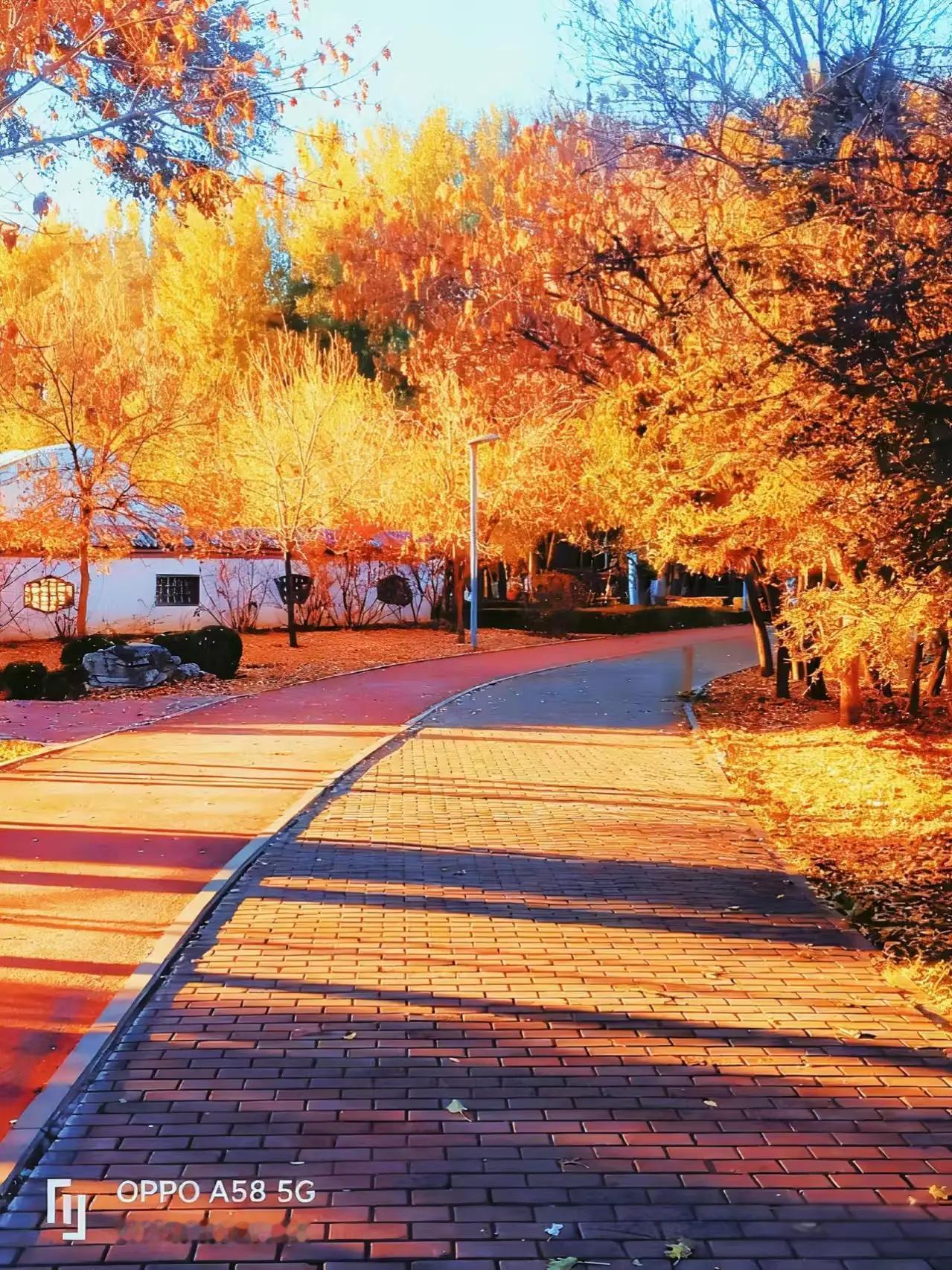 在繁华似锦的都市丛林中，有一位普通的年轻人，名叫李明。年少轻狂的他，曾满腔热忱，