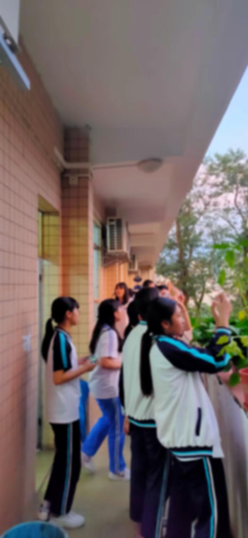 “曾经陪伴我的人啊～你们如今在何方”林花谢了春红，太匆匆