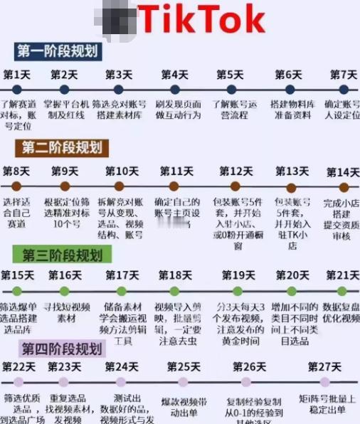 大家说，2024年tik tok是不是一个风口，作为海外版的抖音，tik tok