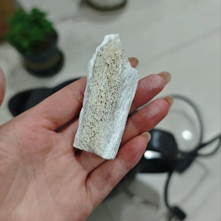 都说蜈蚣是 “阳痿第一药”，其实再加上 2 味，厉害十倍！

我是陈玉龙教授，行