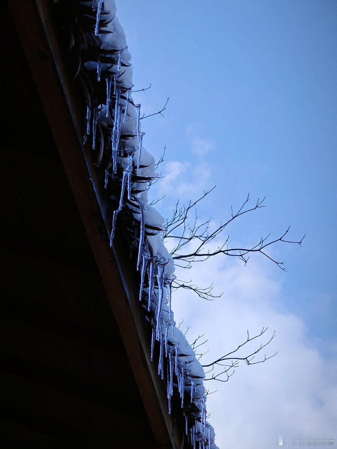 看雪：雪景如画，晶莹剔透，点缀着冬日的静谧，让人心生欢喜。 ​​​