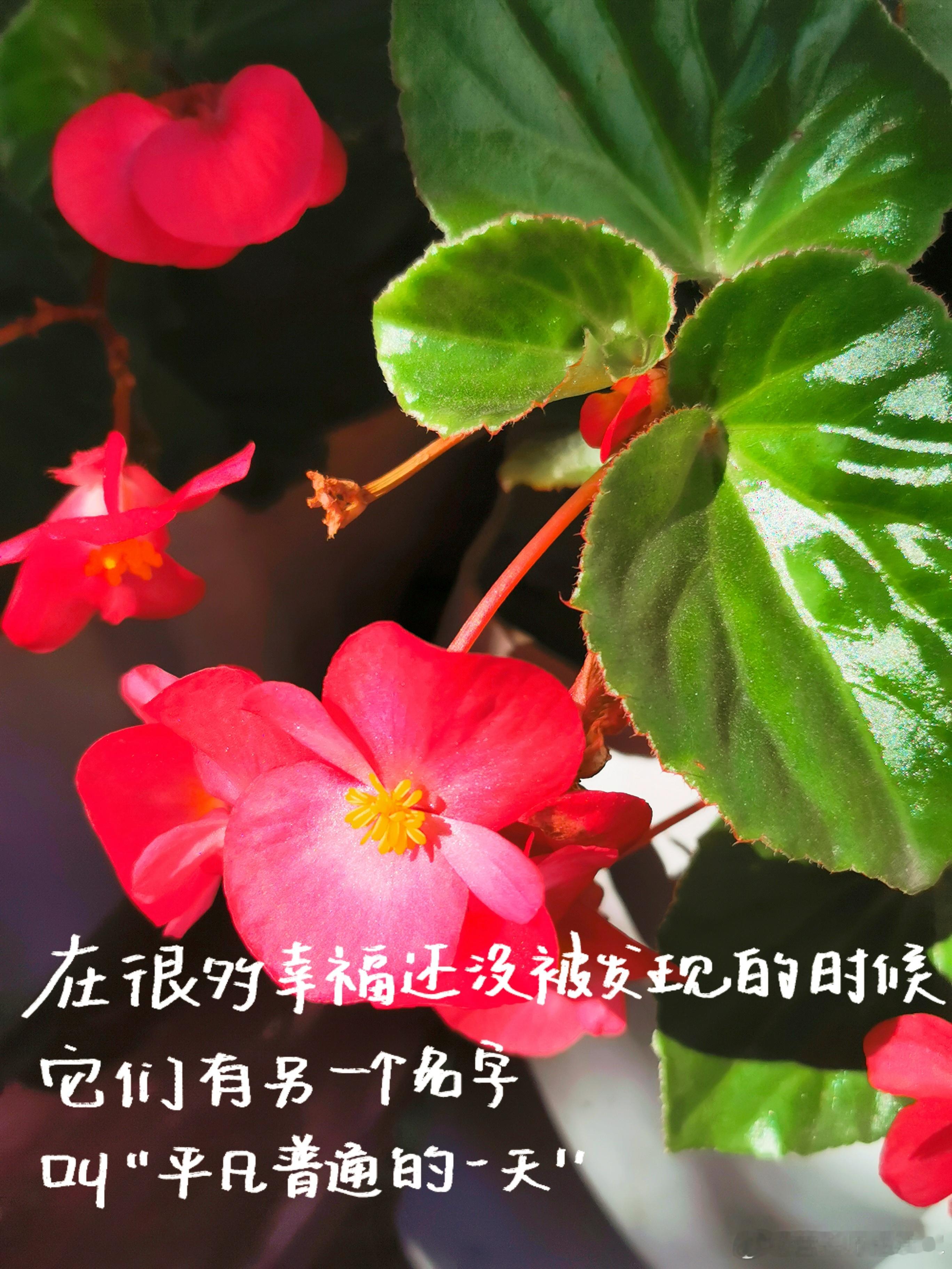 #早安# 日长琐碎即浪漫，要把日常的浪漫收藏进生活的缝隙🀄，一半烟火，一半诗意