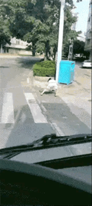 裙子和自行车好像有仇似的，两者几乎不能同时出现，容易出事[机智]