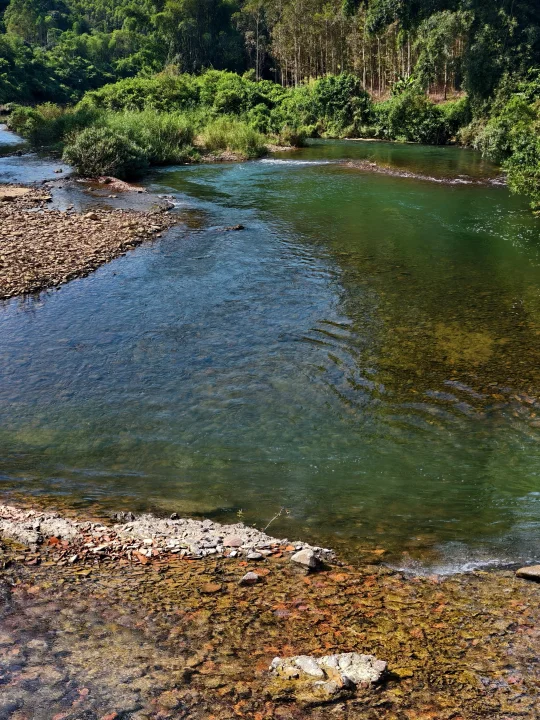 南宁周边1.3h，车到免费可露营钓鱼秘密基地