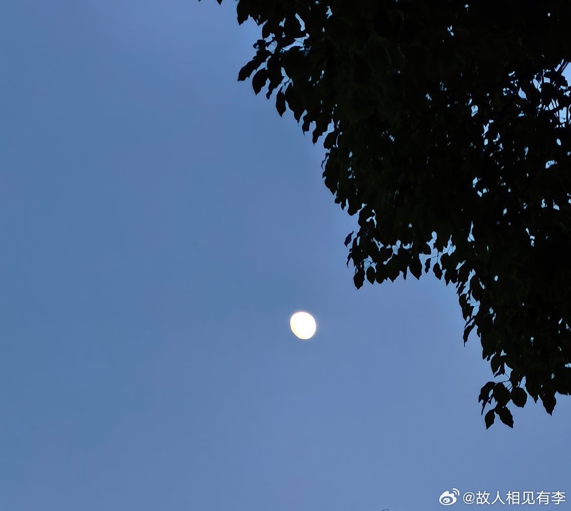 你要不也下来呀 
