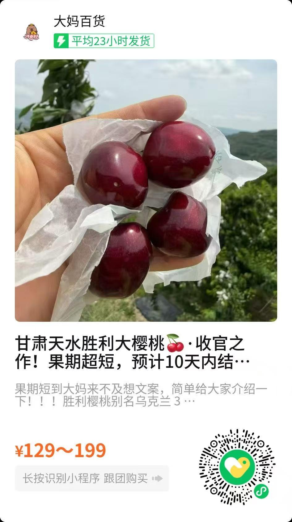 之前拍到樱桃的真的赚到了，3J 大的价格买到比 4J 还大的货。现在果农加价，大