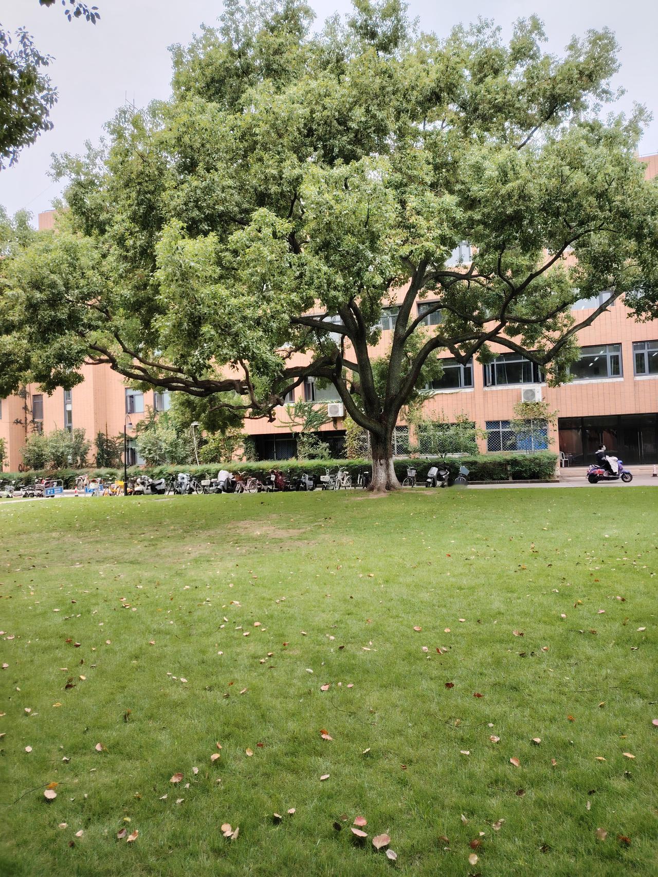 婚房里的"主权争夺战"：她退无可退，婚姻只剩空壳
 
林薇和丈夫结婚三年，没败给