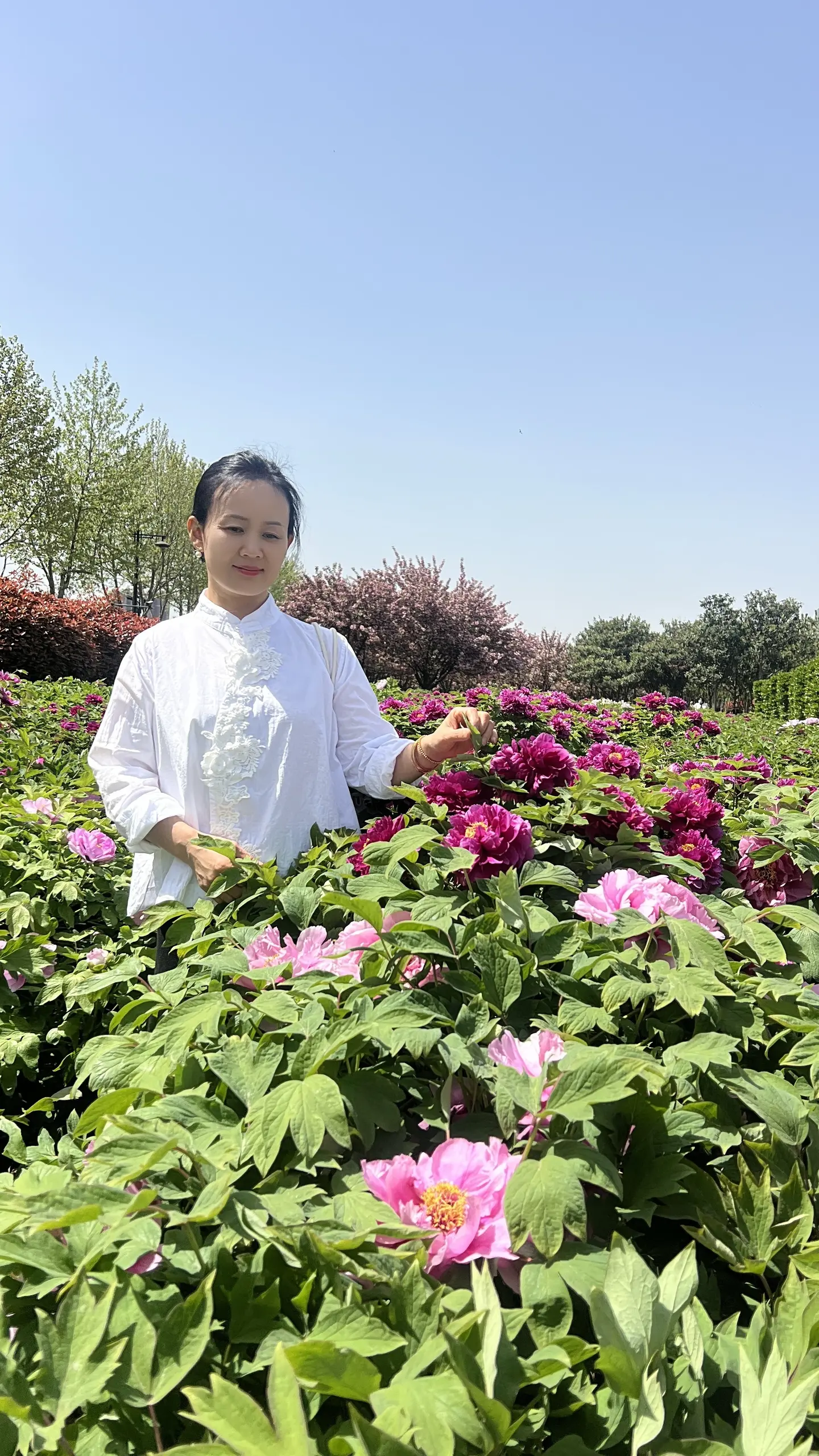 后来才发现，原来我们已经和很多人见完了最后一面，春风得意马蹄疾，不信人...