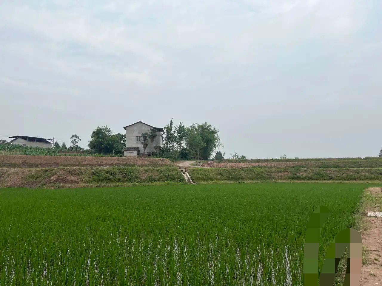 自从爸妈去世后我们兄妹三把父母留给我们的钱存了一个公用帐户共有十五万多，卡和密码