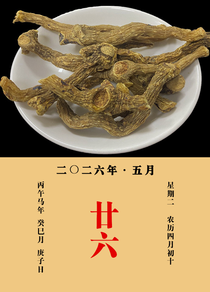 每天一味中草药 大明说：玉竹，除烦闷，止消渴，润心肺，补五劳七伤虚损，腰脚疼痛，
