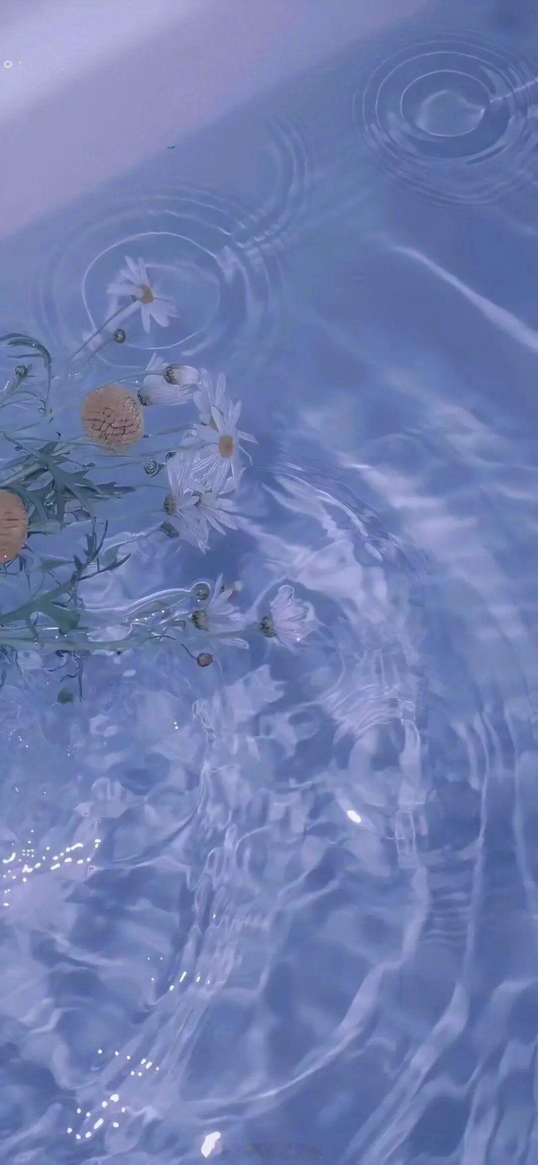 在各种事物的常理中，爱情是无法改变和阻挡的，因为就本性而言，爱只会自行消亡，任何