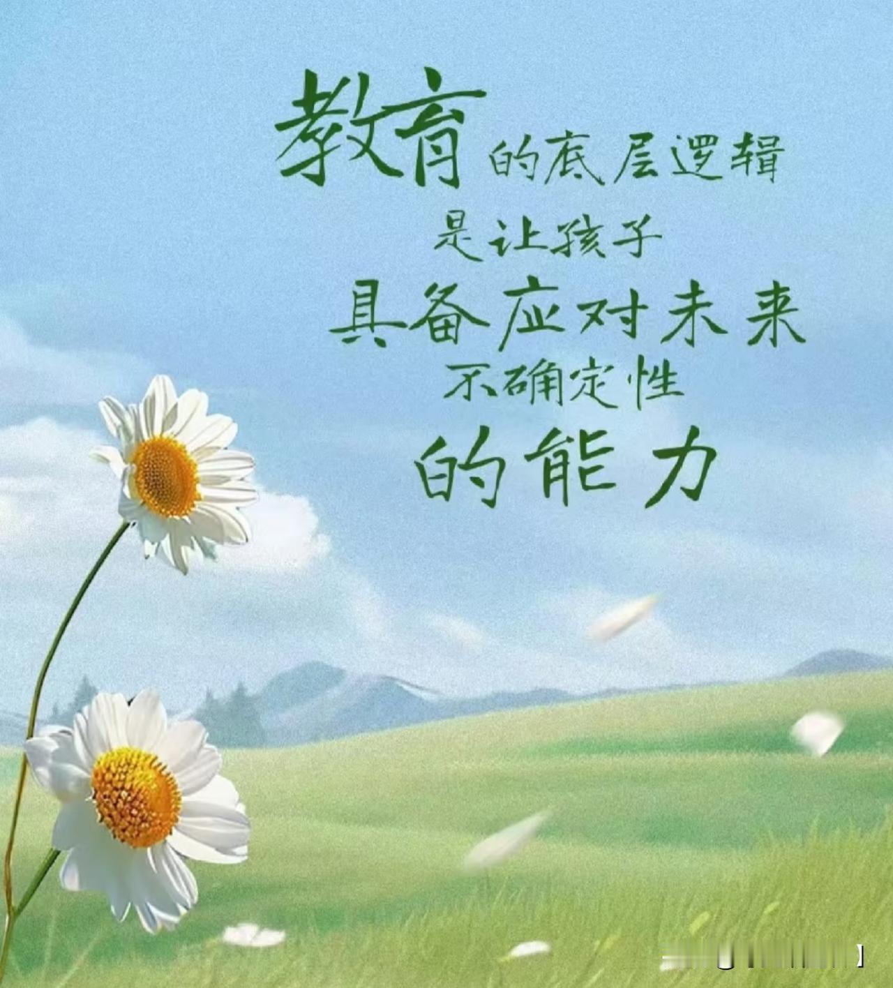 教育孩子的路上,我们该怎么做?作为父母，我们既是引路人，也是同行。不要试图把孩子