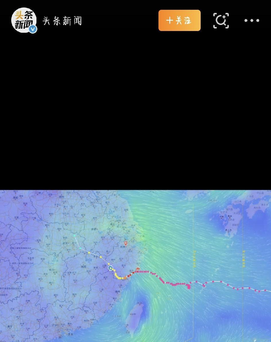 咱们今天好好聊聊今年第13号台风“白海豚”——说真的，这货绝对是今年最不按套路出