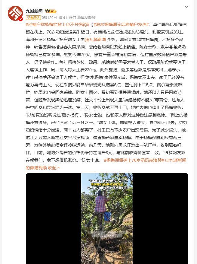 杨梅滞留树上70岁奶奶崩溃哭 福建个别批发点违规添加防腐剂甜蜜素，舆论却把果农一