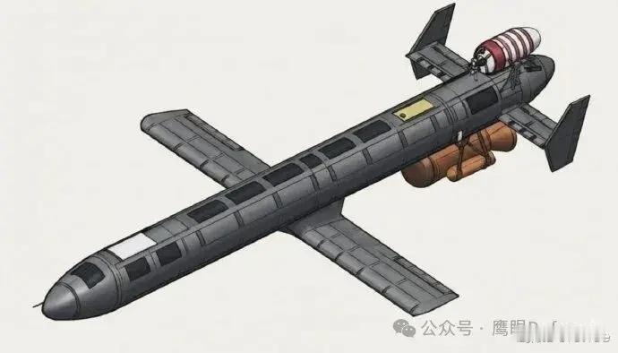 烽火问鼎计划 乌军在1月中旬拦截了一架俄罗斯BM-35无人机，当时，这家俄军无人