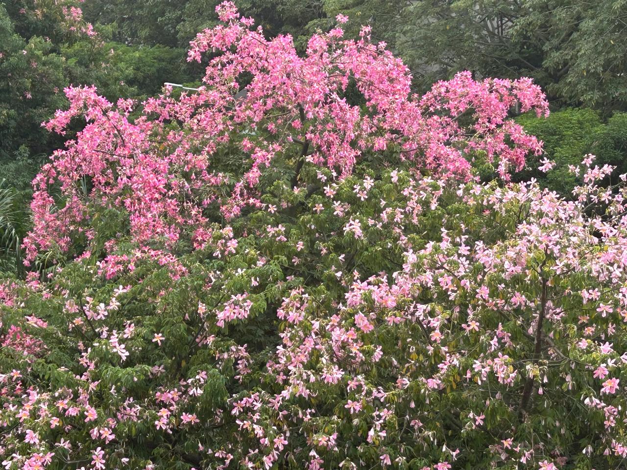 世间的很多美好，都源于专注#秋日生活打卡季#