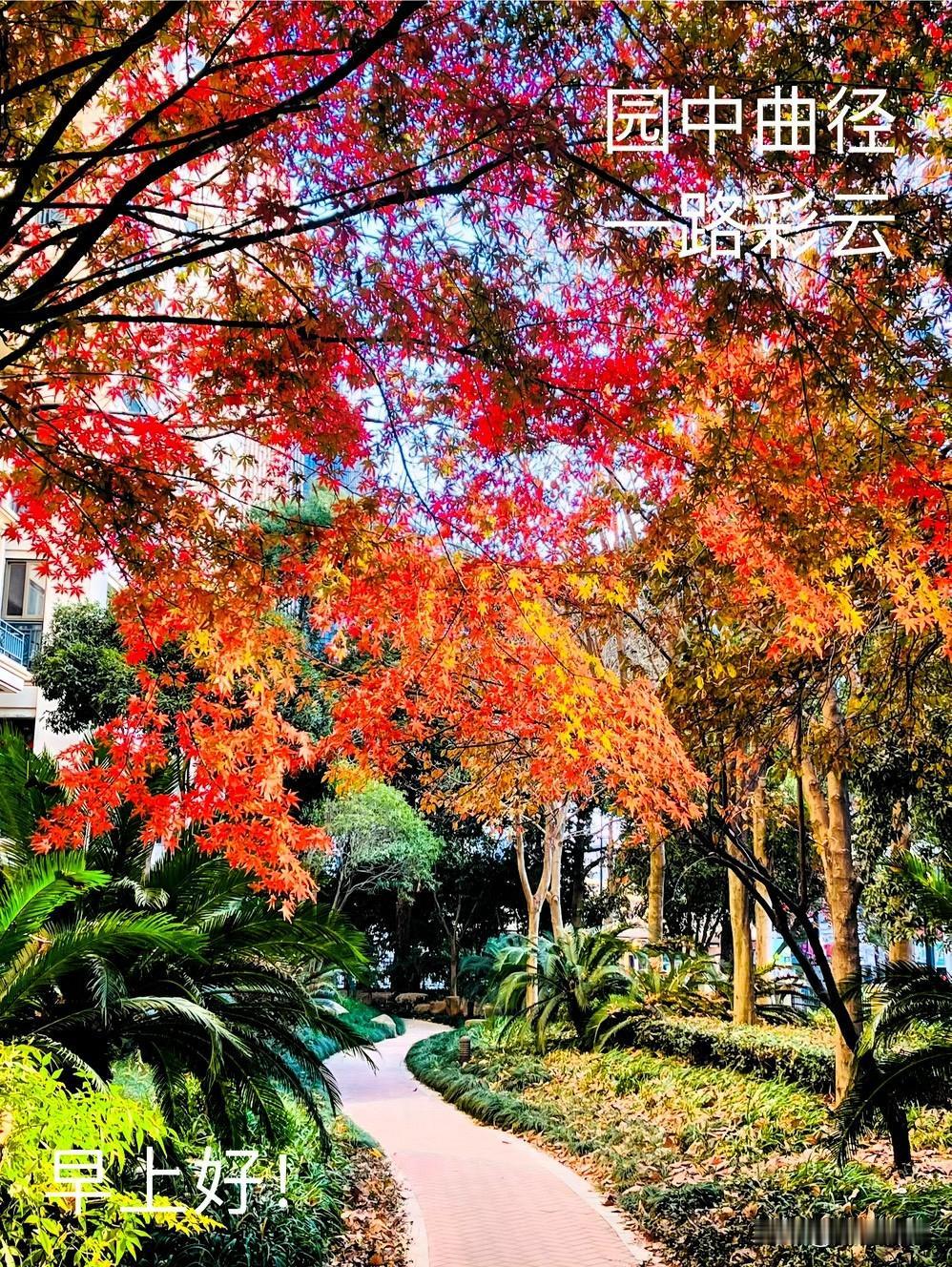 分享一张最近随手拍的照片