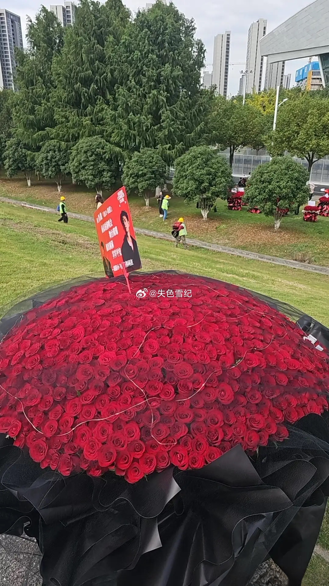 真想不明白肖战演唱会，为啥大家要送这种玫瑰花？会不会有点过了？ ​​​