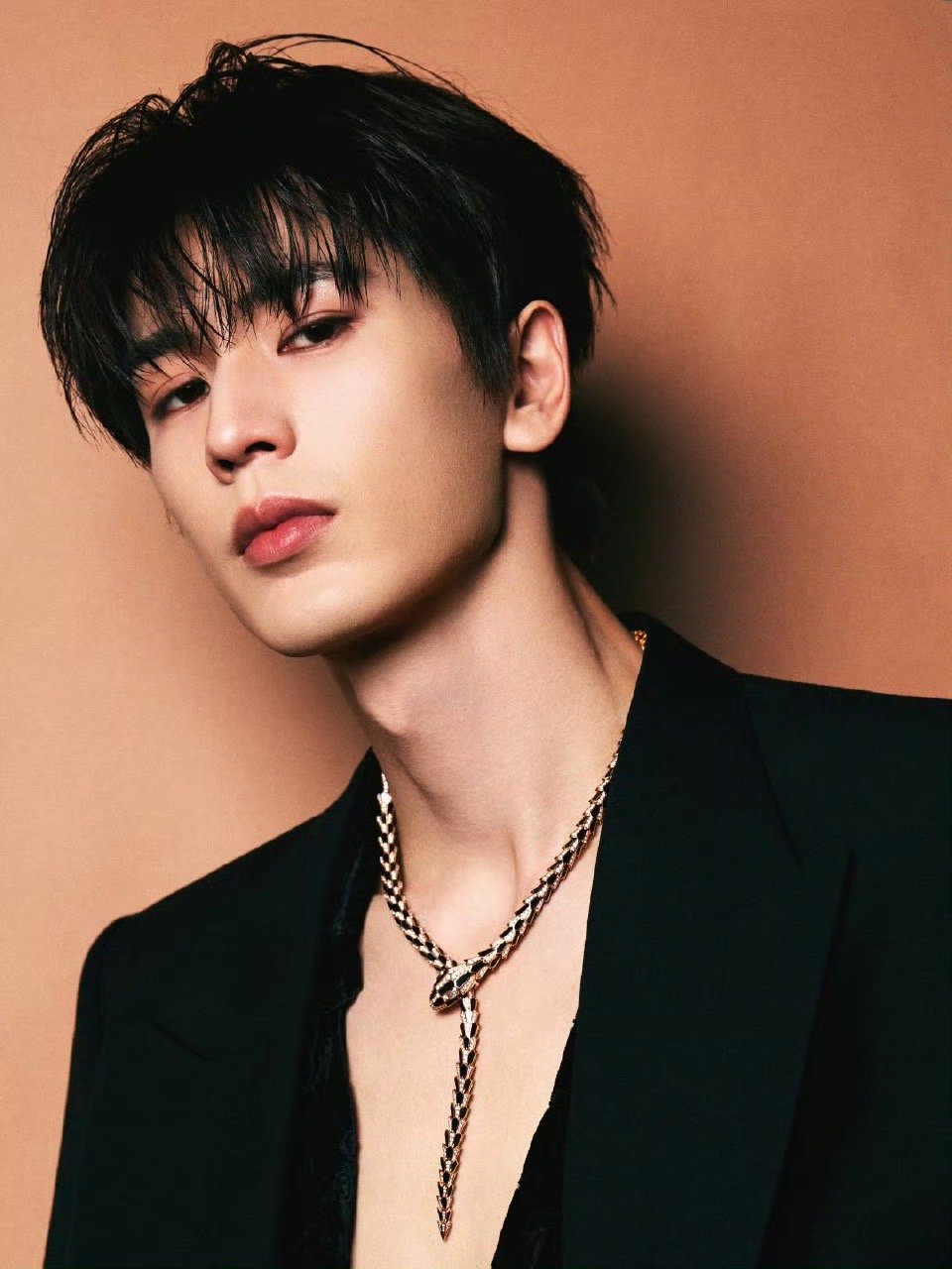 张凌赫湿发深V 湿发深V在微博之夜杀疯了！发梢的湿意混着深V的性感，眼神里带着权