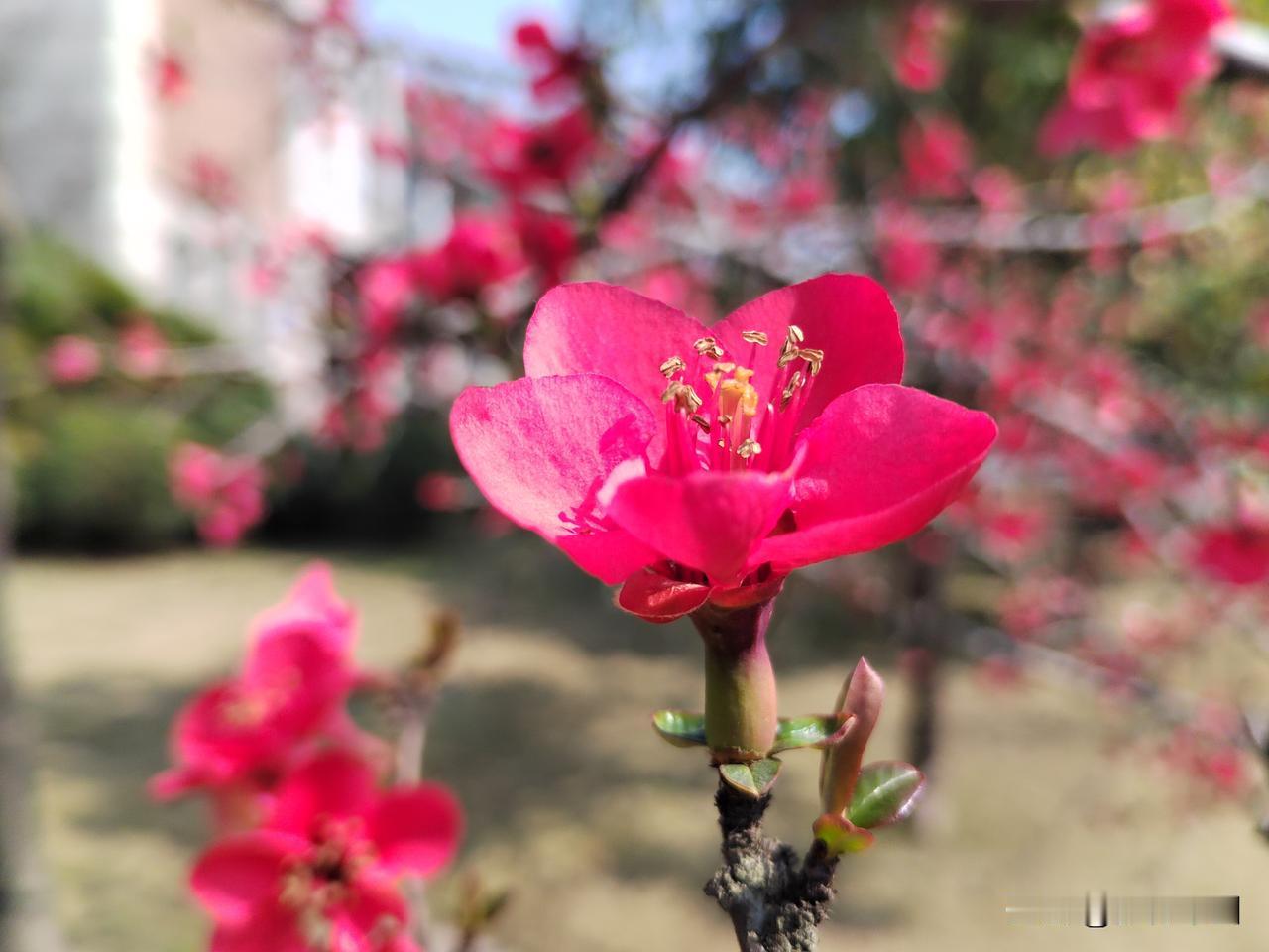 春日暖，花绽放，人间春色尽子衿。
冬风冷，人情薄，阅尽沧桑见真心。