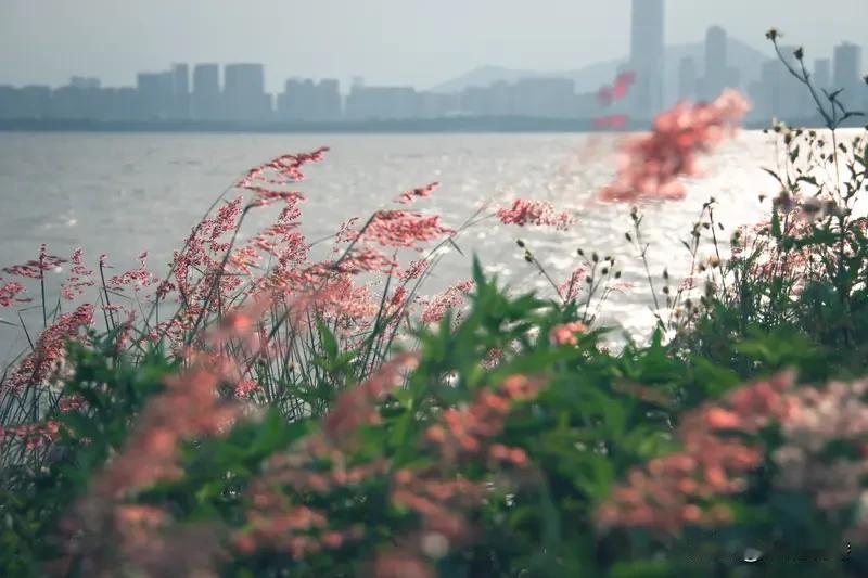 看到这个上联“笛远犹牵堤上柳”，瞬间就被带入了一幅诗意画面。笛声悠悠传远，仿佛还