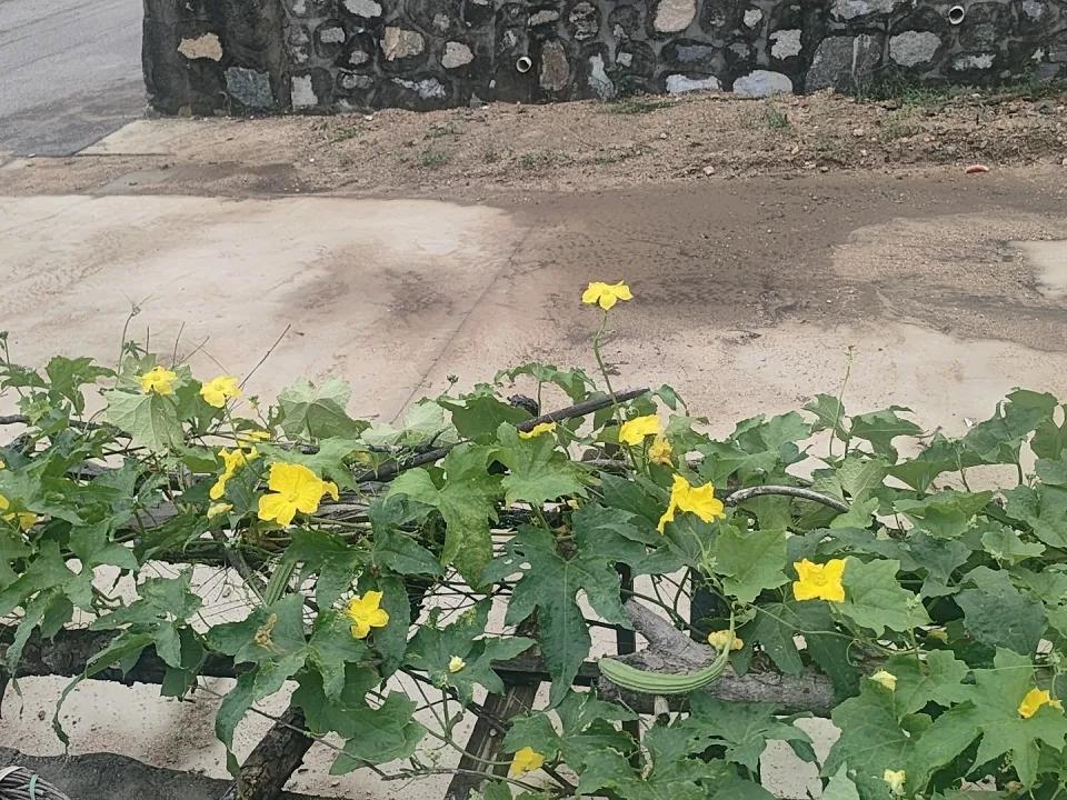 分享一张秋天的图片 分享一张秋天的图片不知不觉间，秋天已然降临，我的收获也如期而