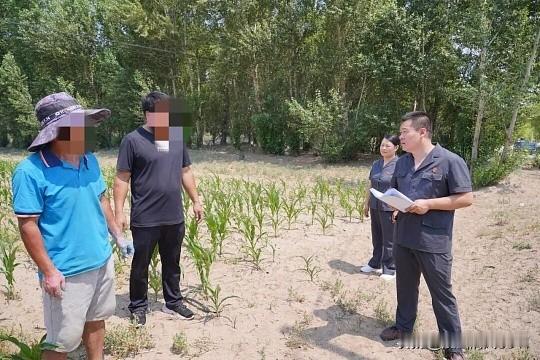 “半亩地”面积不小（约 333 平方米），这属于严重的土地侵权。在苏州，这类纠纷