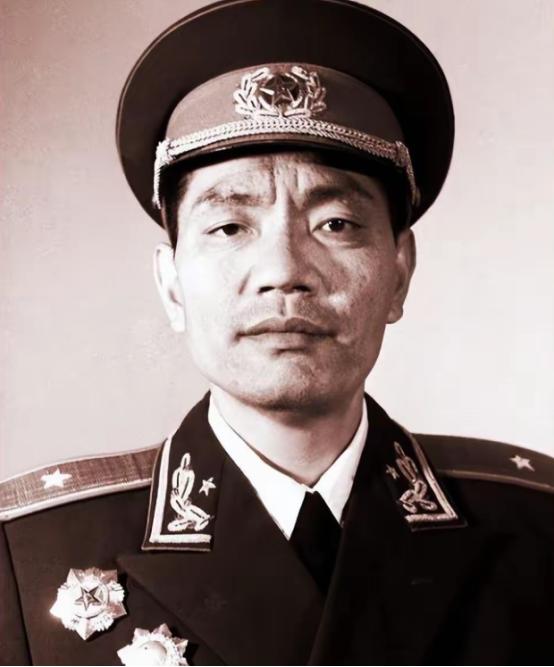 1959年，将军回乡探亲，竟然正好撞上哥哥带着全家外出要饭，而当地官员却个个都是