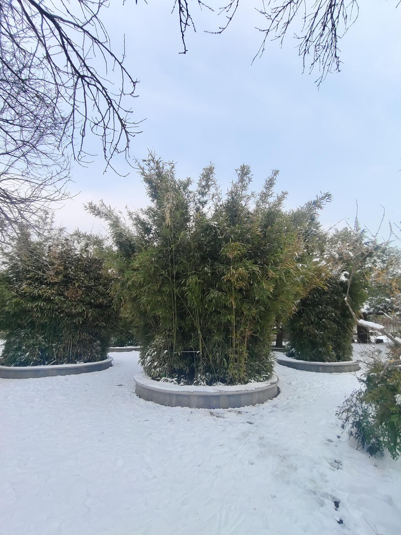 一朋友是老师，常年被评先进，明年可能会当副校长。

一次聊起来，问他为啥晋升会这