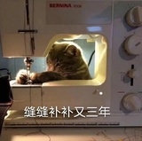 楠泽最爱影视剧