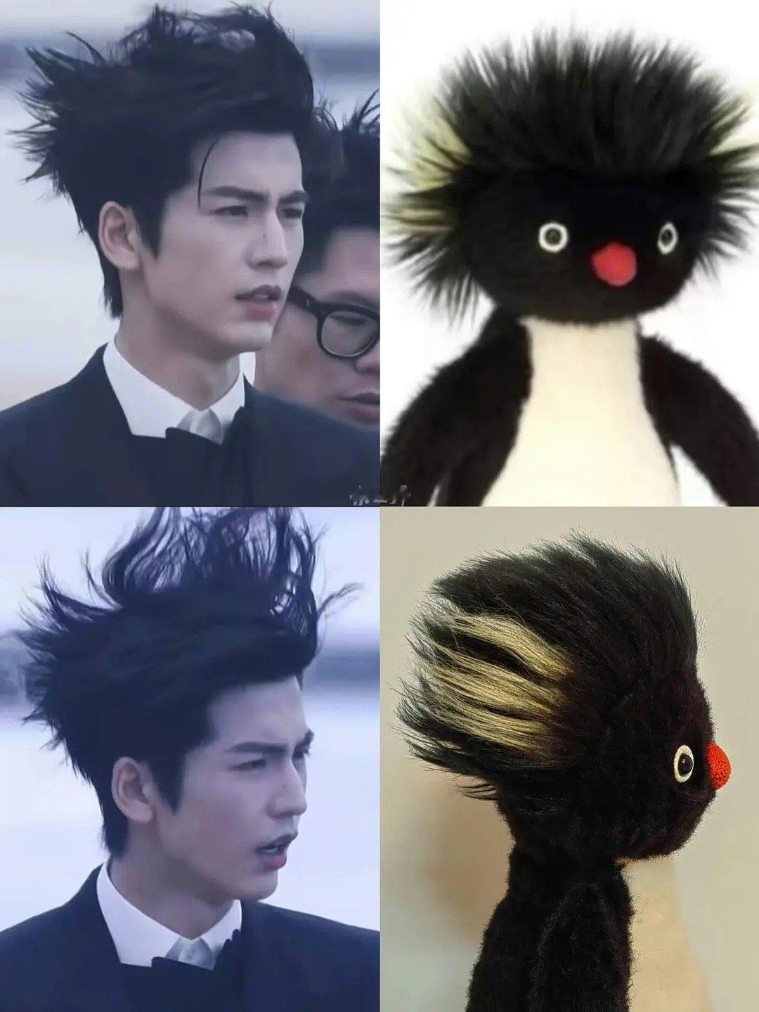 张凌赫头发被吹成海胆了没点发量吹不成这样的！张凌赫好健康的发际线 ​​​