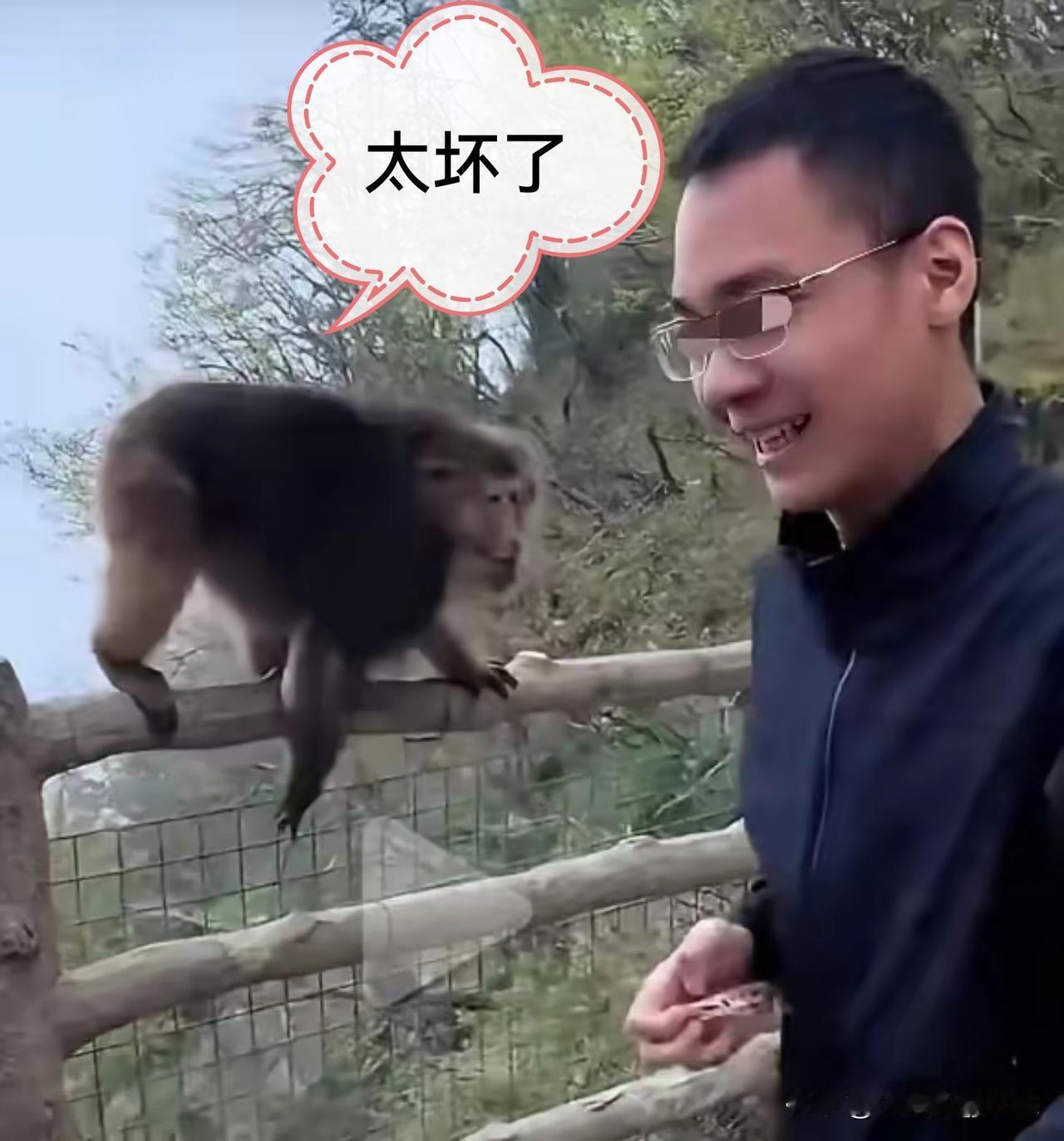 这个斯文败类真的是把“手贱”这个词表演的淋漓尽致呀！！

男子猛推峨眉山崖边猴子