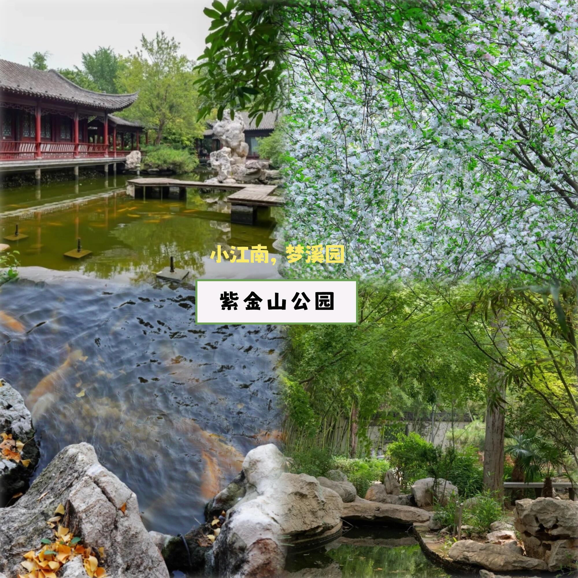 郑州12家公园全攻略，好好玩的班味净化地郑州公园里放下手机捧起书