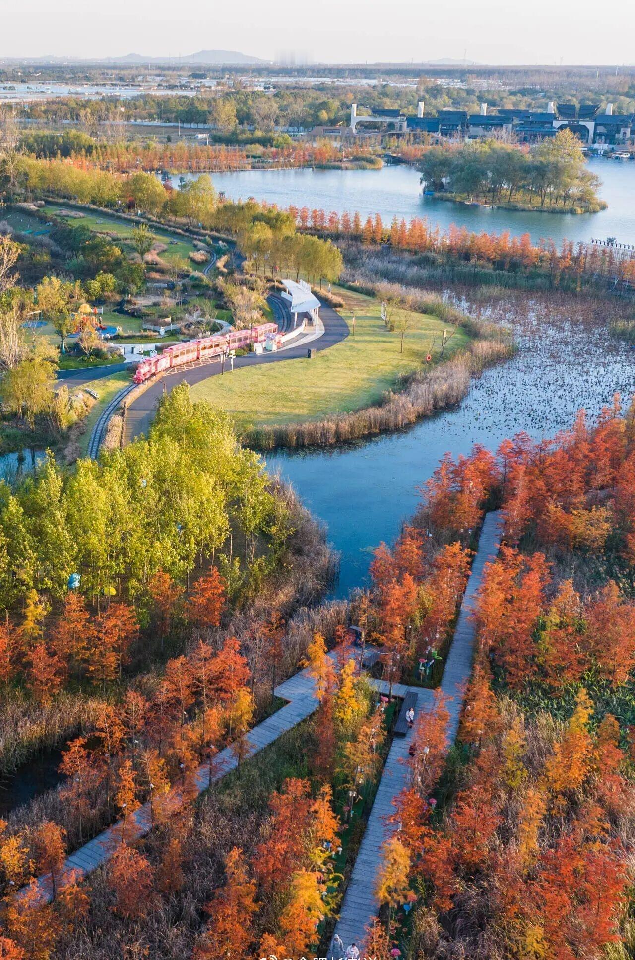 此时的磨滩，大片的红杉林换上了新装，与芦苇相互映衬，形成一幅色彩斑斓的画卷。 ​