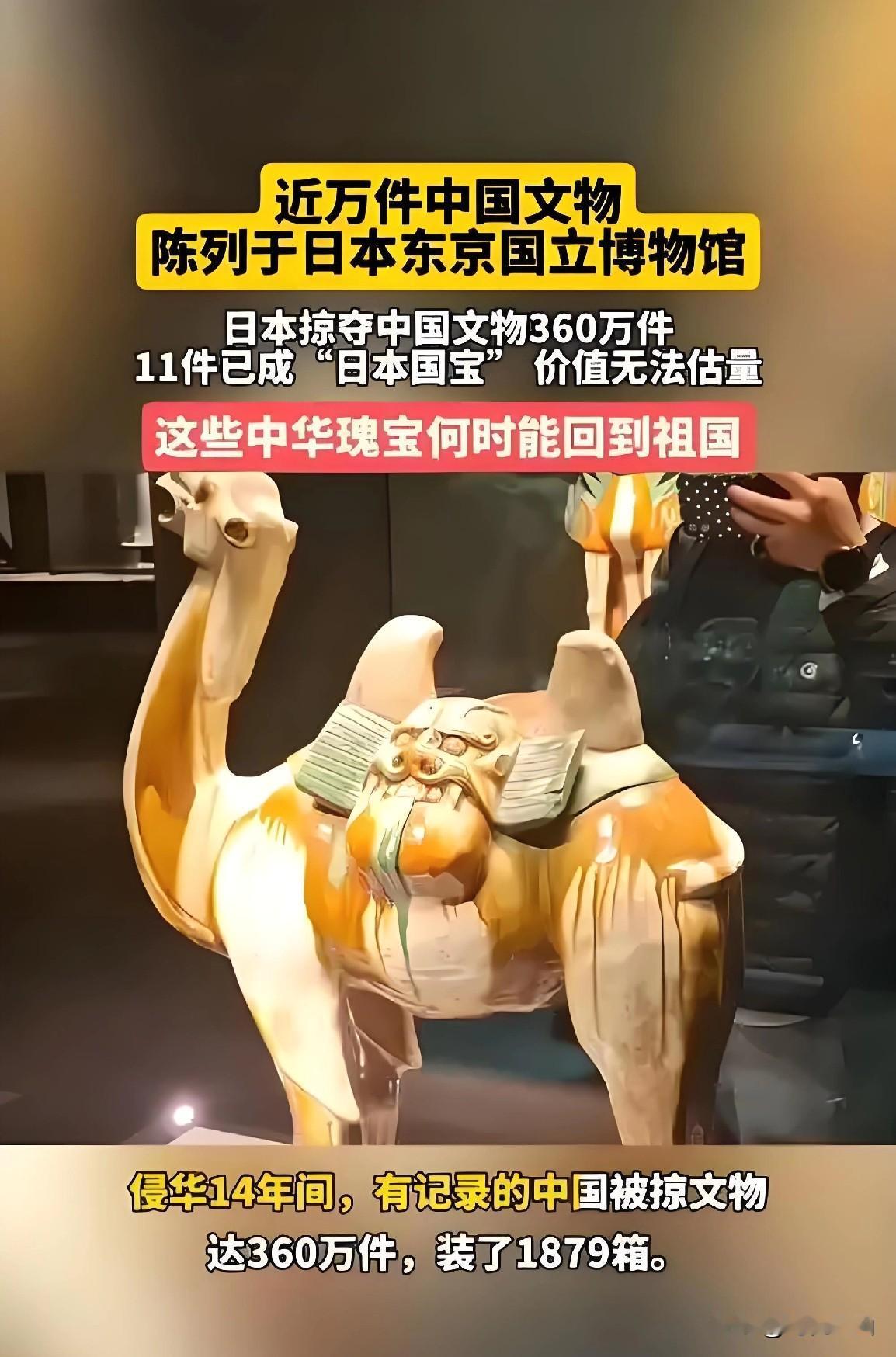 【德向波兰归还文物了！日本必须立刻归还360万件中国文物】

德国近日向波兰归还