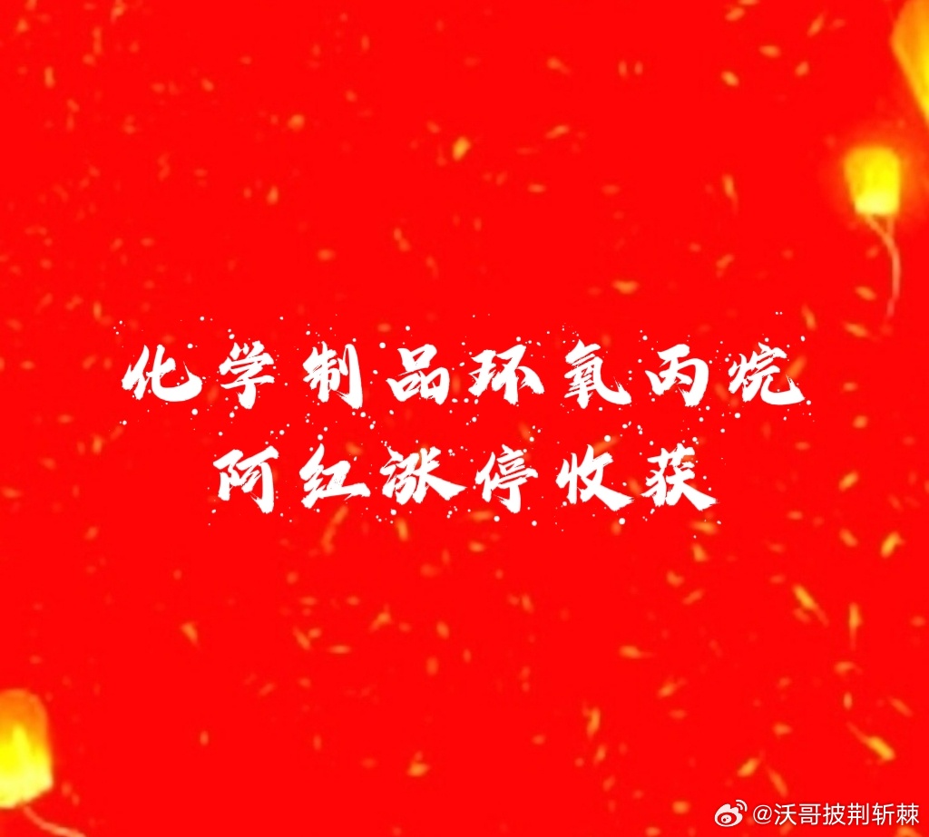 沃哥是电网算电协同智能电网为主线。捎带做化学制品化学原料板块为辅。化学制品化学原