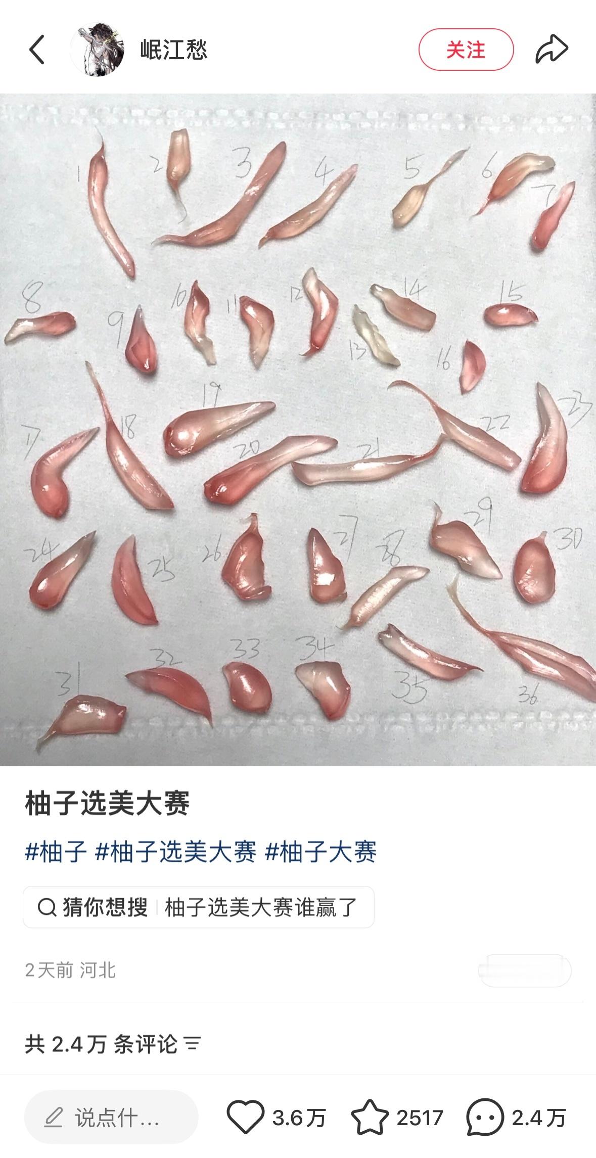 柚子选美大赛 从没发现柚子粒这么漂亮像石榴籽💫（我最喜欢9号和33号选手hhh