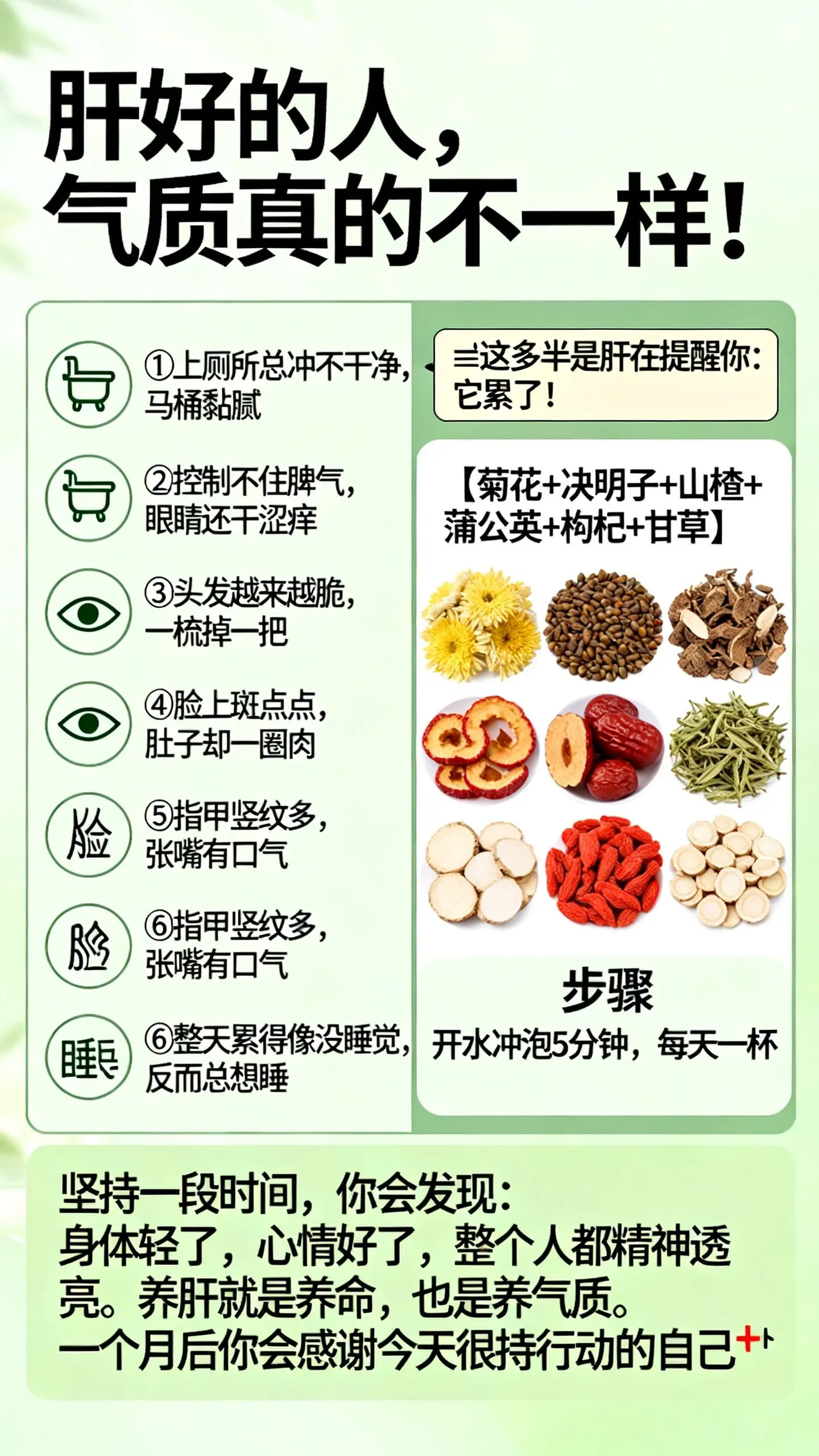 长期熬夜、常对着电子屏幕，奶茶喝腻了的朋友，试试这款菊花枸杞蒲公英代用...