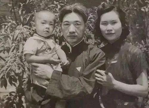 新婚之夜，徐悲鸿厌恶地看着妻子。突然，他主动和妻子圆房。然而，得知妻子怀孕后他却