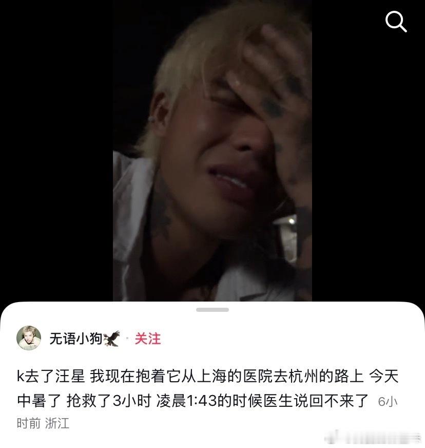 殷世航养的狗K哥中暑去世了，殷世航痛哭发文缅怀：我们是最好的搭档 我从来没遇见过