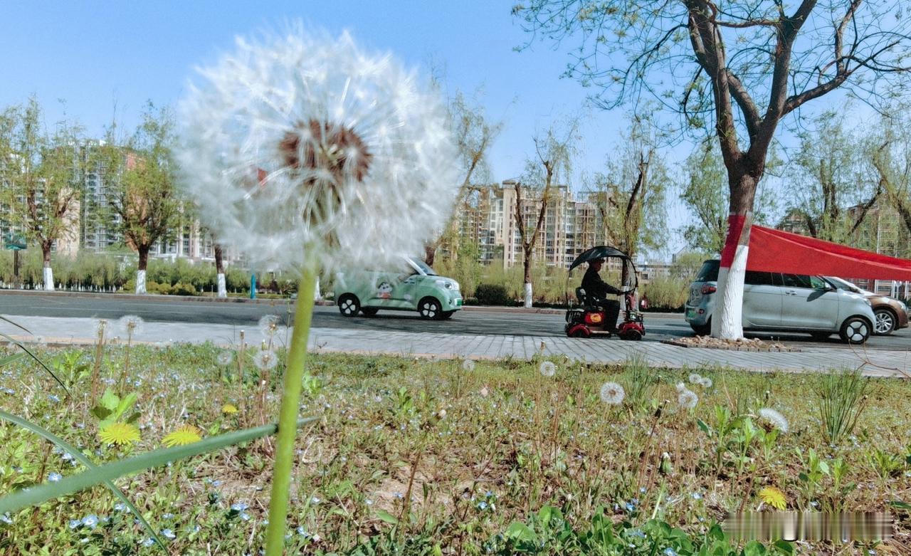 不管风向朝何方，只信落脚有阳光。