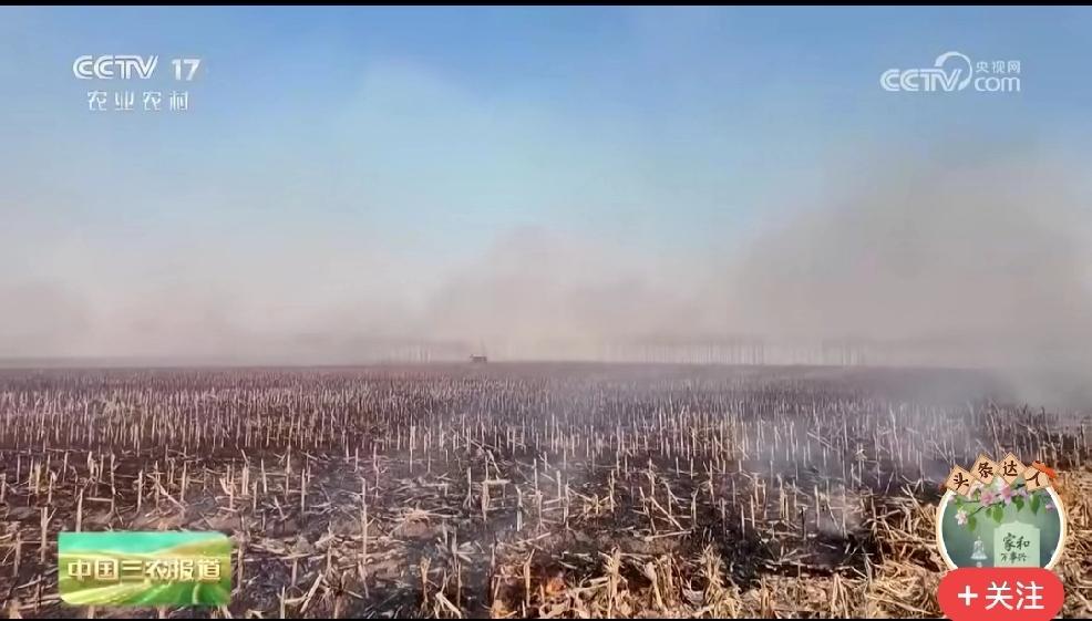 “秸秆焚烧会破坏土壤微生态，减低土壤肥力”，问题是，农民就算知道了所有秸秆焚烧的