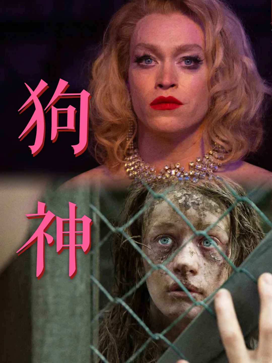 院线测评｜人不如狗的世界，维护内心的秩序