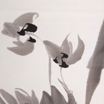 每日一善 每日一善，微光暖人间善意从来都不是惊天动地的壮举，而是藏在日常细碎烟火