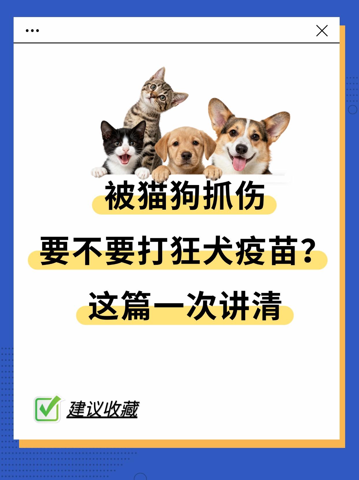 一篇说清，被猫狗抓伤要不要打狂犬疫苗？。